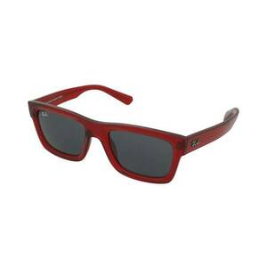 Ray-Ban Ray-Ban Warren RB4396 667987 kép