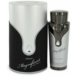 Magnificent Homme (Silver) EDP 100 ml kép