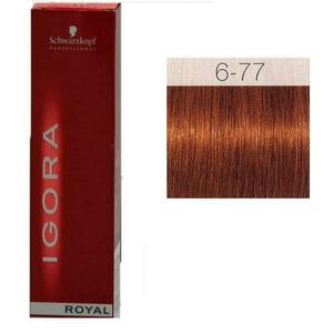 Igora Royal 6-6 60 ml kép