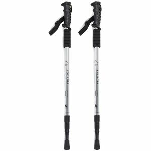 Nordic walking sétapálcák antishock, ezüst kép