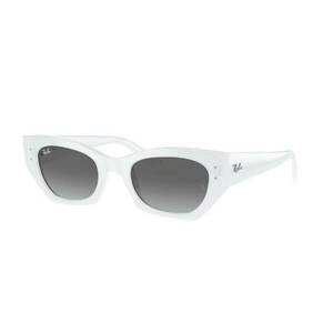 Ray-Ban Ray-Ban Zena RB4430 675911 kép
