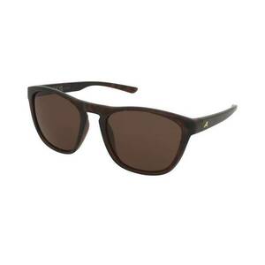 Alpina Alpina Gleam Havana Gloss/Brown kép