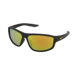 Nike Nike Brazen Fuel M DJ0803 452 kép