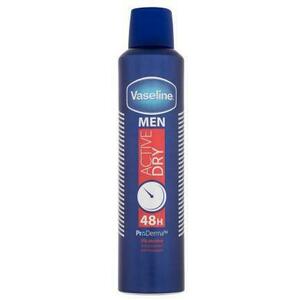 Men Active Dry 48h deo spray 250 ml kép