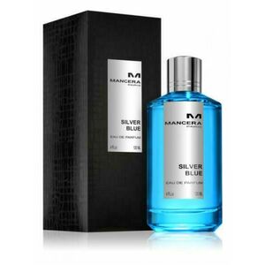 Silver Blue EDP 120 ml kép