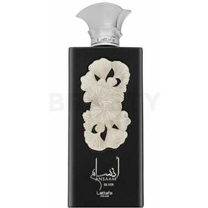 Pride - Ansaam Silver EDP 100 ml kép
