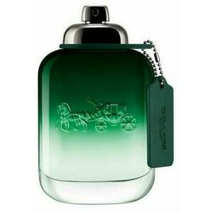 Green EDT 100 ml Tester kép