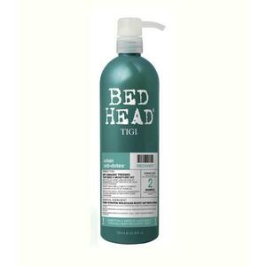 Bed Head Urban Antidotes Recovery sampon száraz és sérült hajra 750 ml kép