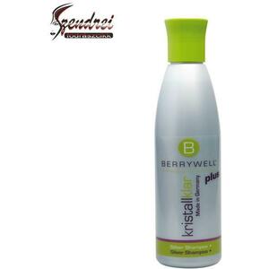 Silver sampon 251 ml kép