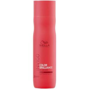 Color Brilliance Protection vastagszálú festett hajra 250 ml kép