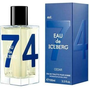 Eau de Iceberg Cedar EDT 100 ml kép