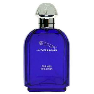 Evolution for Men EDT 100 ml Tester kép