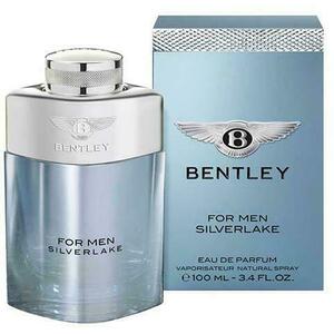 Silverlake for Men EDP 100 ml kép