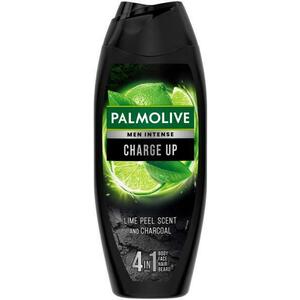 Charge Up 500 ml kép