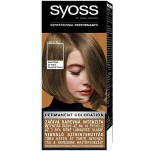 Color 6-66 Pörkölt pekándió kép