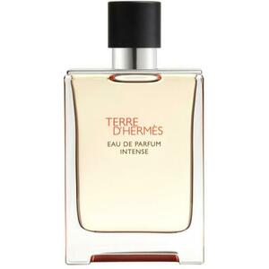 Terre D'Hermes (Intense) EDP 100 ml kép