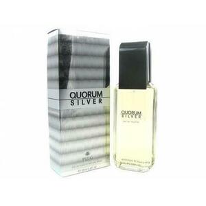 Quorum Silver EDT 100 ml kép