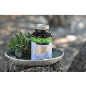 Masticha Terapia Az emésztőrendszer megfelelő működéséhez, Masticha Active - 100 tabletta Csomagolás (Balenie): 100 tabletta kép