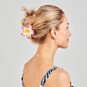 3 hajcsat Hibiszkusz kép