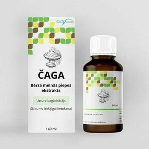 Befungin Chaga kivonat - 140ml - HealthNA kép