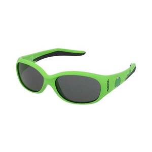 Alpina Alpina Flexxy Kids Green Dino kép