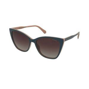 Polaroid Polaroid PLD 4181/S DB1/LA kép