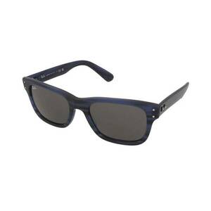 Ray-Ban Ray-Ban Mr Burbank RB2283 1339/B1 kép