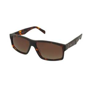 Crullé Crullé Sharp C6 kép