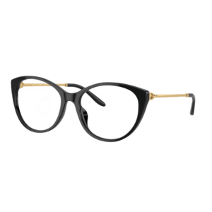 Ralph Lauren Ralph Lauren RL6239U 5001 kép