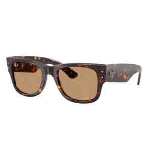 Ray-Ban Ray-Ban Mega Wayfarer RB0840S 902/53 kép