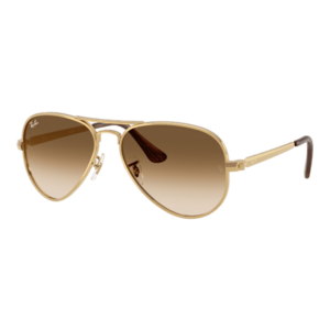 Ray-Ban Ray-Ban Aviator Max RB3925 001/51 kép
