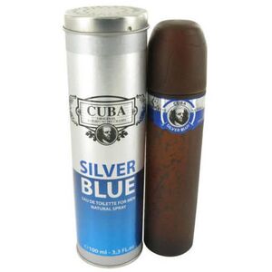 Silver Blue EDT 100 ml kép