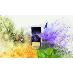 Magnifica Lux EDP 100 ml kép
