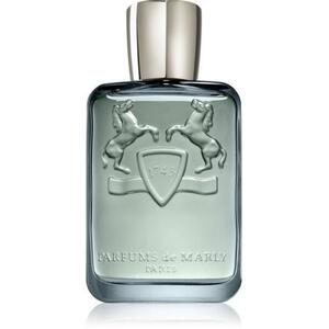 Castley EDP 125 ml kép