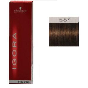 Igora Royal 5-57 60 ml kép