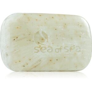 Sea of Spa Dead Sea Treatment Szilárd szappan tengeri moszattal 125 g kép