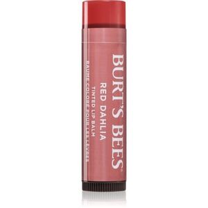 Burt’s Bees Tinted Lip Balm ajakbalzsam árnyalat Red Dahlia 4.25 g kép