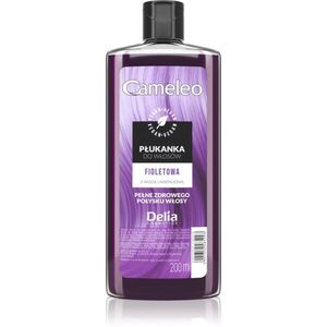Delia Cosmetics Cameleo Flower Water színező hajfesték árnyalat Violet 200 ml kép