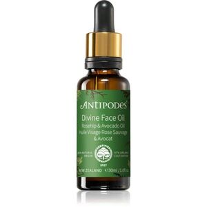 Antipodes Divine Face Oil Rosehip & Avocado Oil védő szérum a bőröregedés első jeleinek eltüntetésére 30 ml kép