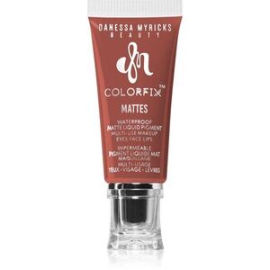 Danessa Myricks Beauty Colorfix Mattes multifunkcionális smink a szemre, az ajkakra és az arcra árnyalat Brownie 10 ml kép