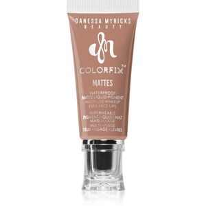 Danessa Myricks Beauty Colorfix Mattes multifunkcionális smink a szemre, az ajkakra és az arcra árnyalat Exposed 10 ml kép