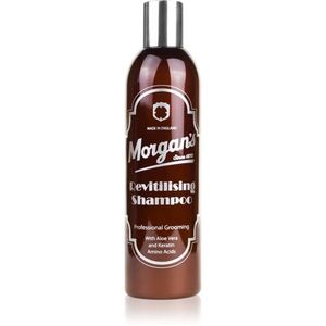 Morgan's Revitilising Shampoo intenzív tápláló sampon 250 ml kép