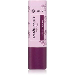 Lobey Skin Care Lip Balm ajakbalzsam íz Ostružina 5 g kép