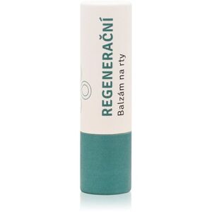 Lobey Skin Care Lip Balm regeneráló szájbalzsam 5 g kép