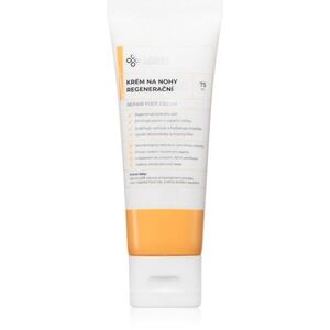 Lobey Body Care Regenerační krém na nohy regeneráló és hidratáló krém lábakra 75 ml kép
