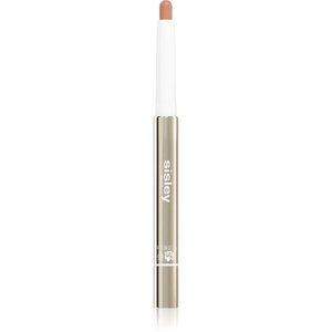 Sisley Stylo Correct magas fedésű, ápoló hatású korrektor árnyalat N°3 1.7 g kép