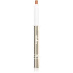 Sisley Stylo Correct magas fedésű, ápoló hatású korrektor árnyalat N°4 1.7 g kép