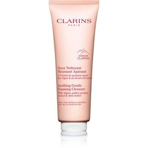 Clarins Cleansing Soothing Gentle Foaming Cleanser gyengéd arctisztító hab nyugtató hatással 125 ml kép