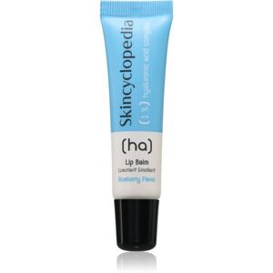 Skincyclopedia 1% Hyaluronic Acid Complex ajakbalzsam 10 ml kép