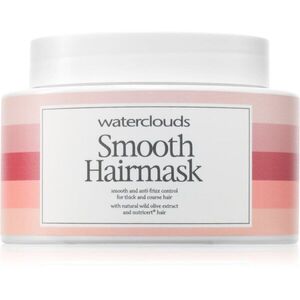 Waterclouds Smooth Hairmask hajmaszk a rakoncátlan és töredezett hajra 250 ml kép